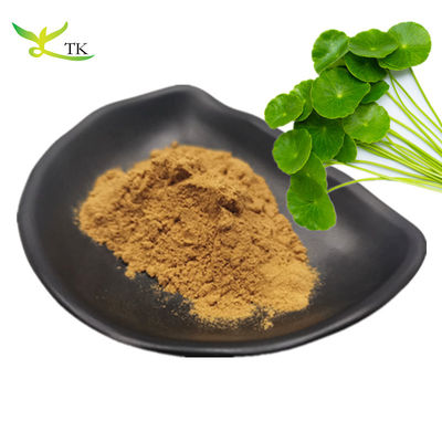 Fabbrica professionale miglior prezzo Fornitura Gotu Kola Estratto 10% Totale Asiaticosidi Per Cosmetici