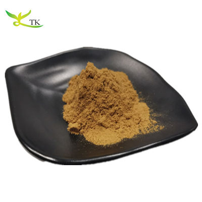Estratto vegetale naturale in polvere Gypenoside 98% Gynostemma Estratto in polvere Prezzo all'ingrosso