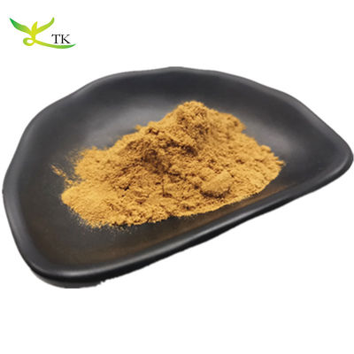 Estratto vegetale 100% naturale al miglior prezzo Estratto di semi di pompelmo in polvere