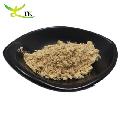 Top Quality 100% Puro Naturale Panax Ginseng Extratto di Radice Ginsenosidi Polvere 10%~80%