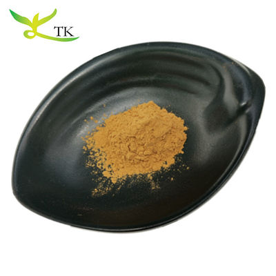 Estratto di erbe cinesi 100% naturale Estratto di radice di astragalo Polvere Estratto di Huangqi Polvere