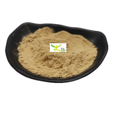 16 anni Prezzo all'ingrosso di fabbrica 100% naturale di qualità alimentare estratto di radice di zenzero in polvere ingrosso
