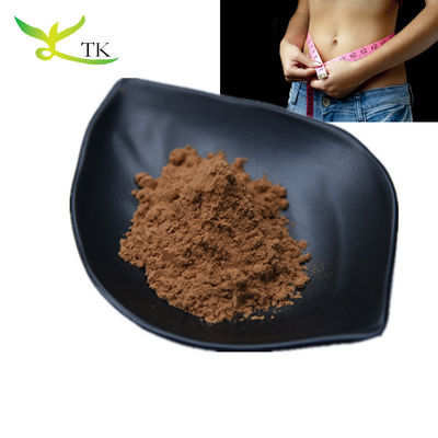 Ingrosso 100% Naturale Pulito Per Perdita Di Peso Estratto Di Foglia Di Loto Pulito 10:1 Grado Alimentare