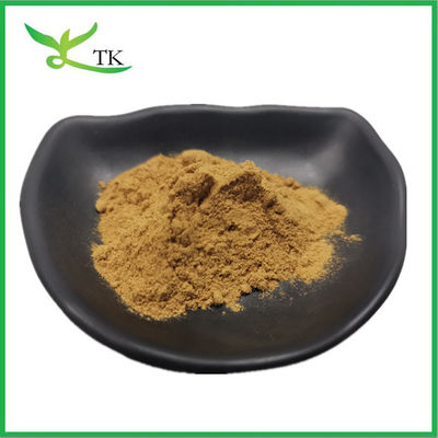 Estratto naturale 100% di foglie di mugwort Artemisia Argyi Aiye Estratto di foglie Aiye in polvere
