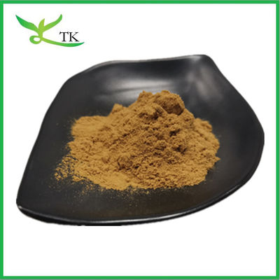 Miglior prezzo Estratto di bacche d'albero naturale 100% Chasteberry Extract in polvere 10:1