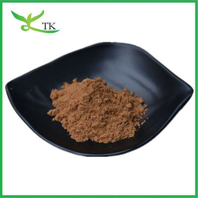 Estratto vegetale 100% naturale Estratto di radice di dente di leone Estratto in polvere Estratto di dente di leone 10:1