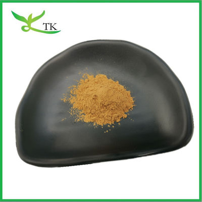 Estratto naturale di Poria Cocos Polisaccaride 30% Estratto di Poria Cocos Polvere di grado alimentare
