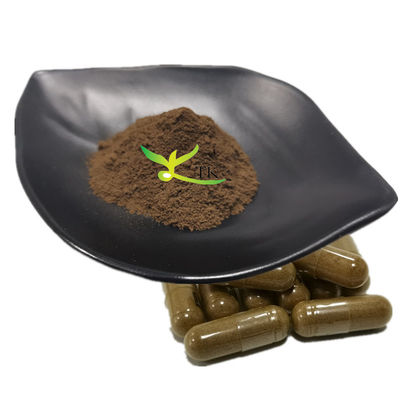 Supplemento per la cura della salute a base di erbe naturali Estratto di Shilajit in polvere Acido fulvico 50%