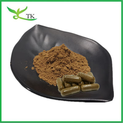 Estratto vegetale naturale in polvere Estratto di aswagandha 10:1 Estratto di radice di ashwagandha