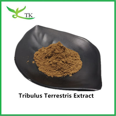 Al dettaglio miglior prezzo 100% Estratto naturale di Tribulus Terrestris Saponina in polvere 40%
