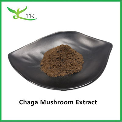 Supplemento naturale per la salute Estratto di funghi Estratto di Chaga Polsaccaride di Chaga in polvere 20%