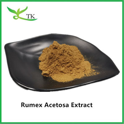 Prezzo all'ingrosso Estratto di erbe naturali al 100% Rumex Acetosa L. Estratto in polvere