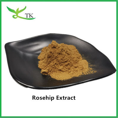 Estratto di rosa mosca in polvere di qualità alimentare 100% naturale