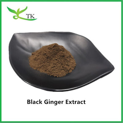 Pure Natural Healthcare Ingredient Black Ginger Extract in polvere per uomini