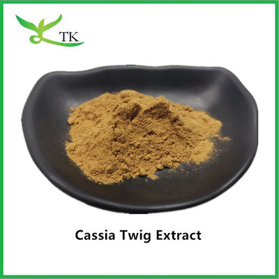 Estratto di erbe tradizionali cinesi 100% naturali Gui Zhi Cassia Twig Extract in polvere 10:1