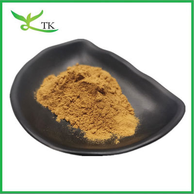 Estratto vegetale naturale 100% Salix Alba Estratto di corteccia di salice bianco Estratto di salicina 10%~98%