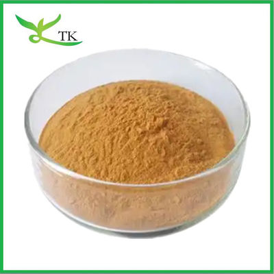 Grado alimentare 100% naturale Estratto di corteccia di Pygeum Africanum Prunus Africana Estratto in polvere