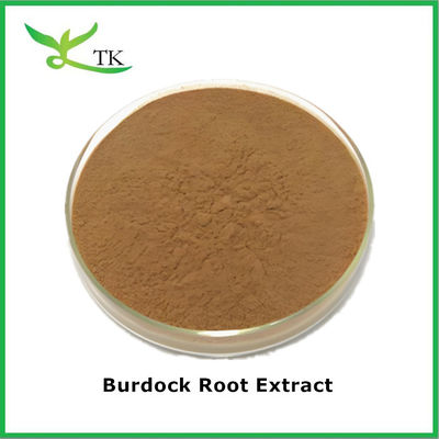 Supplemento a base di erbe Estratto di Arctium lappa Estratto di bardana Polvere idrosolubile