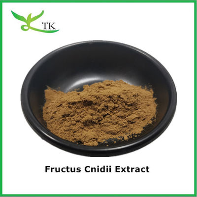 Supplemento di erbe naturali pure Supplemento 10:1 20:1 Estratto di frutto Cnidii in polvere