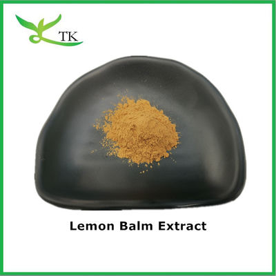 Estratto di balsamo di limone naturale puro Estratto di balsamo di limone secco in polvere