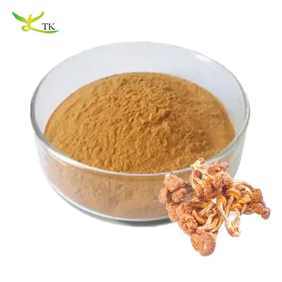 Grado alimentare Pure Natural Pholiota Nameko Extract Polysaccharides in polvere