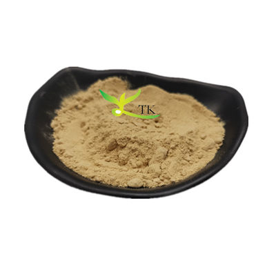 Estratto 100% naturale di Eucommia Ulmoides in polvere