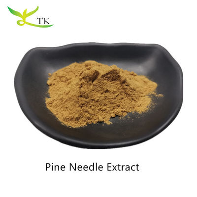 Ingrosso Estratto vegetale naturale in polvere Estratto di pino in polvere di grado alimentare