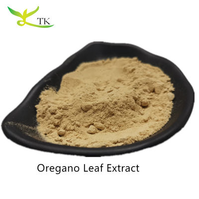 Prezzo all'ingrosso Estratto di origano 100% naturale in polvere Estratto di foglie di origano