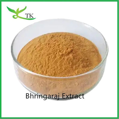 Cura dei capelli 100% naturale Bhringaraj Leaf Extract Eclipta Alba Extract Powder Re dei capelli