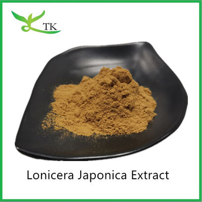 Estratto naturale di Lonicera japonica in polvere