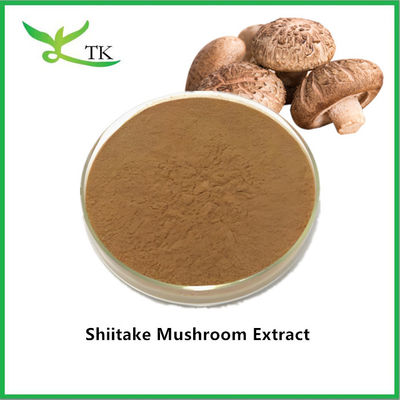 Prezzo all'ingrosso di estratto di funghi naturali in polvere Shiitake