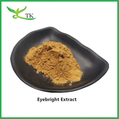 Grado alimentare Estratto 100% naturale di Eyebright in polvere Eyebright in polvere prezzo all'ingrosso