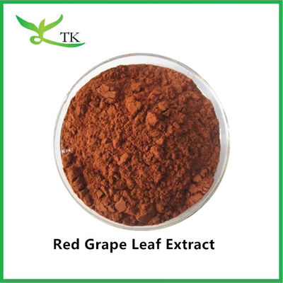 Grado alimentare Estratto di foglie di uva rossa 100% naturale in polvere Estratto di vite