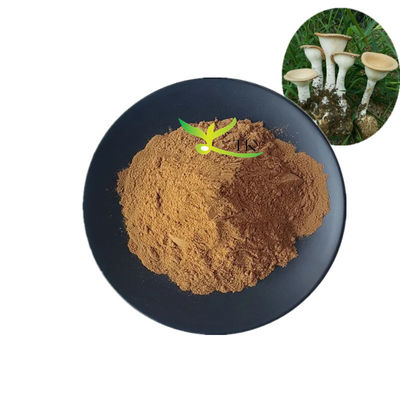 Grado alimentare Estratto di funghi di latte di tigre di ligno naturale di rinoceronte polvere polisaccaridi 10% ~ 30%