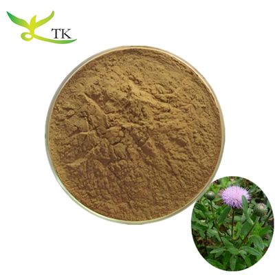Estratto vegetale naturale Herba Cephalanoploris in polvere 4:1 10:1