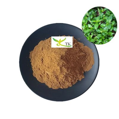 Estratto naturale di Kalmegh TCM e polvere di estratto di Andrographis Paniculata