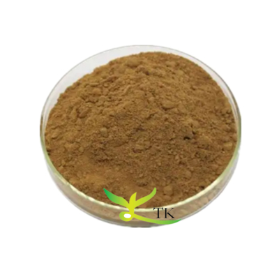 Prezzo all'ingrosso Campione gratuito Estratto di Saponina di Tè Verde Estratto di Camellia Sinensis Saponina di Tè sfuso