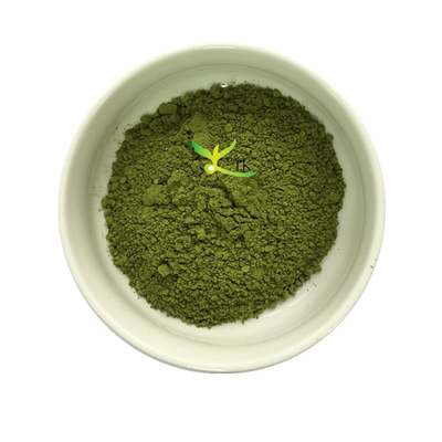 Miglior Prezzo Estratto di Foglie di Moringa Biologica Naturale Pura Moringa Oleifera Extract
