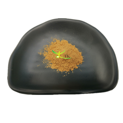 Funghi naturali Cura sanitaria Agaricus Blazei Estratto in polvere Agaricus Blazei Funghi Estratto in polvere