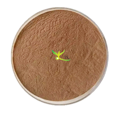 Estratto naturale di foglie di Ginkgo Biloba, Ginkgo Flavonoidi 24%, Lattoni 6%