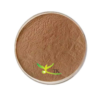 Fornitura di fabbrica di estratto naturale di fiori di Camellia Japonica, estratto di Camelia in polvere