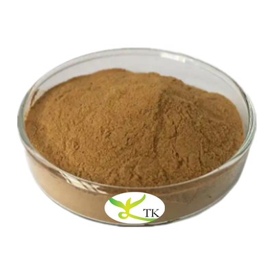 Tonking Supply Estratto di radice di Isatis naturale cinese tradizionale Estratto di Isatis Tinctoria in polvere