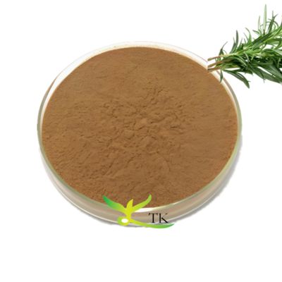 Estratto vegetale naturale 10% 50% Estratto di foglie di rosmarino Polvere Acido ursolico Estratto di foglie di rosmarino