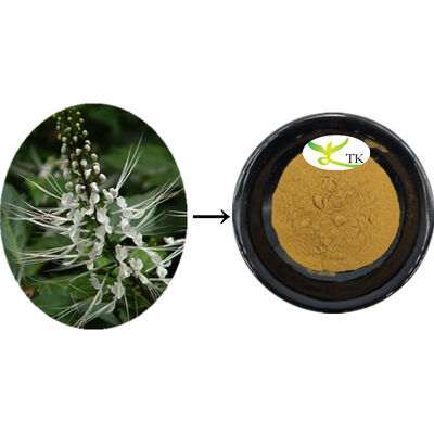 Ortosiphon Aristatus naturale Estratto di Orthosiphon foglia Estratto di polvere di pulizia Calculi