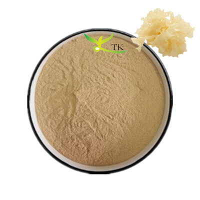 Estratto in polvere di fungo Tremella Fuciformis naturale, estratto di sporocarpo di Tremella Fuciformis