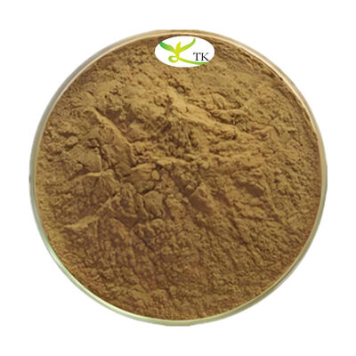 Estratto di erbe naturali Estratto di Alpinia Officinarum Polvere di estratto di radice di galanga