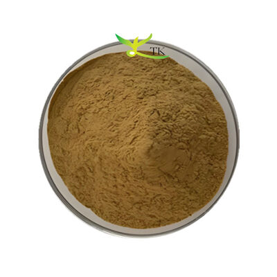 Fornitura di fabbrica Bacopa Monnieri Estratto 40% Bacopasides Polvere Brahmi Estratto Polvere