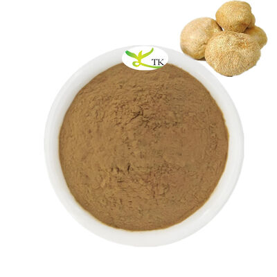 Polvere di estratto di funghi di alta qualità Estratto di polvere di criniera di leone 50:1 Polvere di funghi di criniera di leone