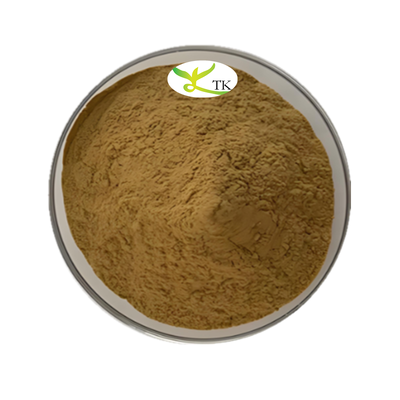 Estratto di erbe cinesi Andrographis paniculata Andrographolide 20% 98% CAS 5508-58-7 Andrographolide