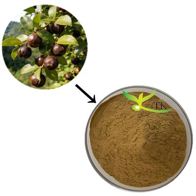Prezzo all'ingrosso Estratto 100% naturale di Camellia Sinensis in polvere Tè Saponina Estratto per cosmetici